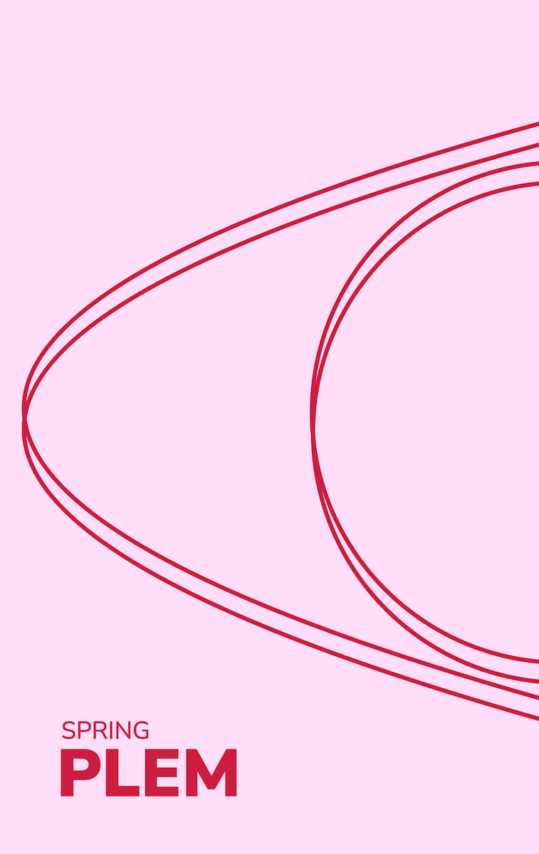 LIVRE SPRING - PLEM365